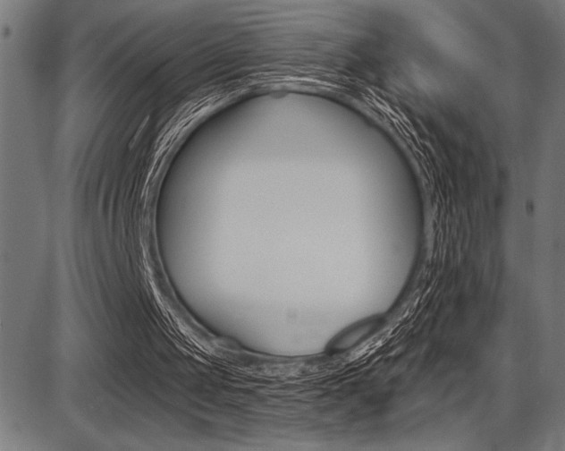 X0000087700049200705040901