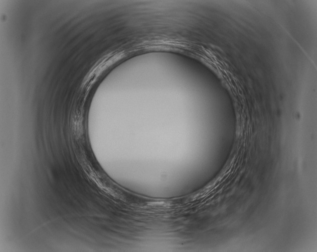 X0000087700050200705040901