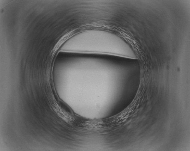 X0000087700051200705040901