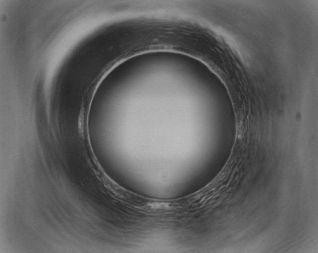 X0000087700052200705040901