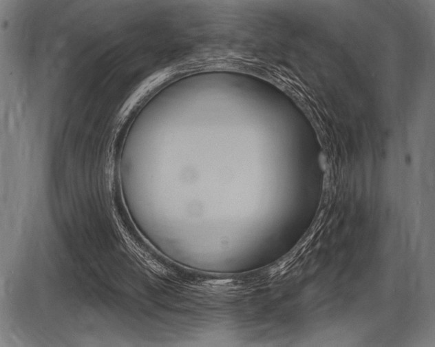 X0000087700054200705040901