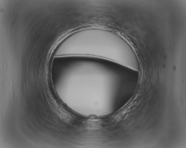 X0000087700055200705040901