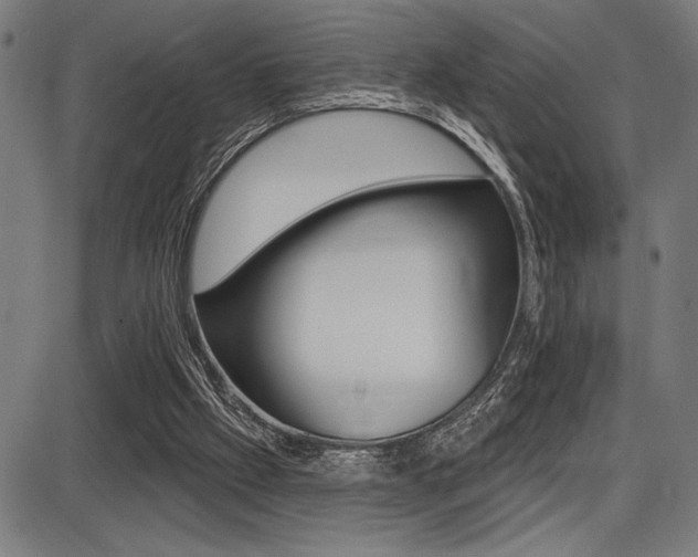 X0000087700057200705040901