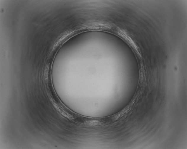 X0000087700058200705040901