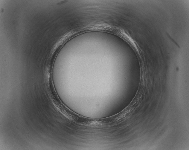 X0000087700059200705040901