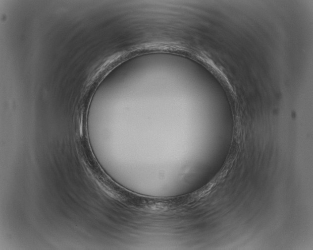 X0000087700062200705040901