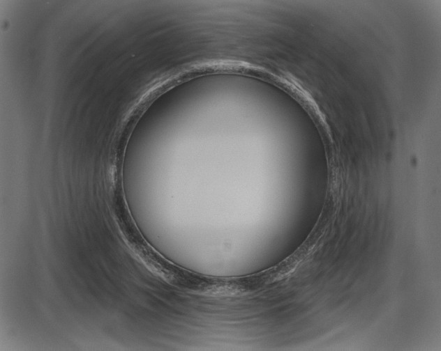 X0000087700063200705040901