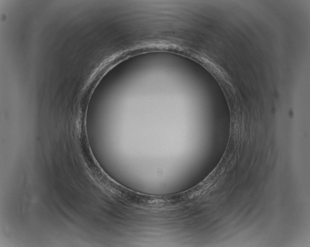 X0000087700064200705040901