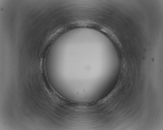 X0000087700066200705040901