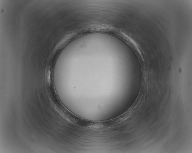 X0000087700067200705040901