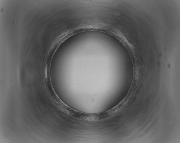 X0000087700068200705040901