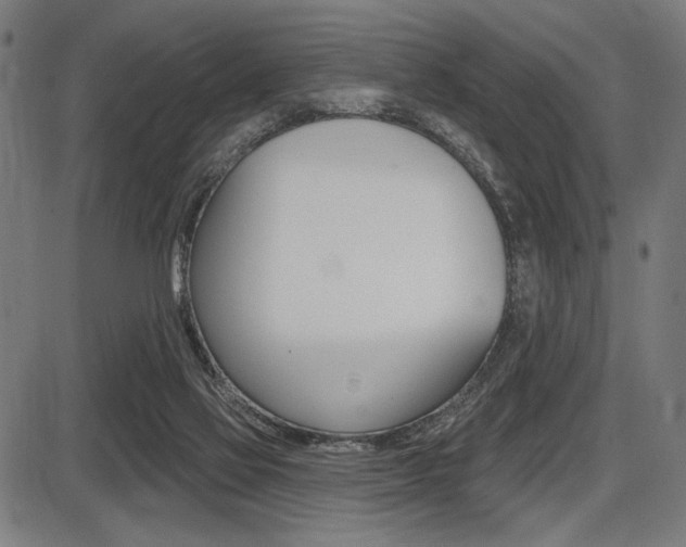 X0000087700069200705040901