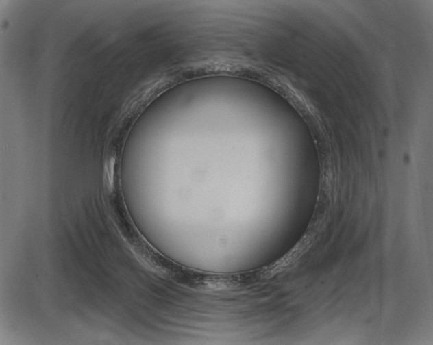 X0000087700070200705040902