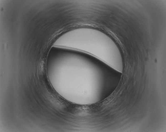 X0000087700071200705040902
