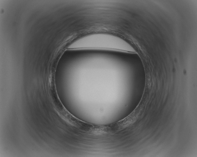 X0000087700072200705040902