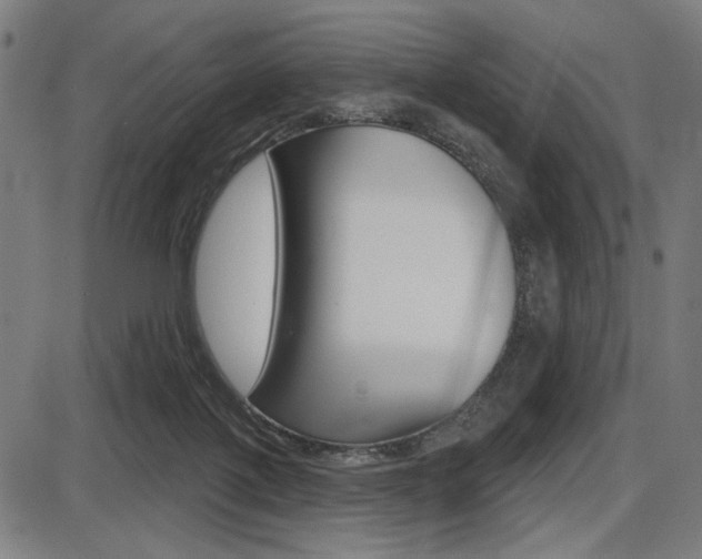 X0000087700075200705040902