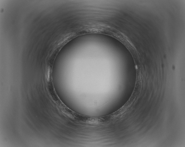 X0000087700076200705040902