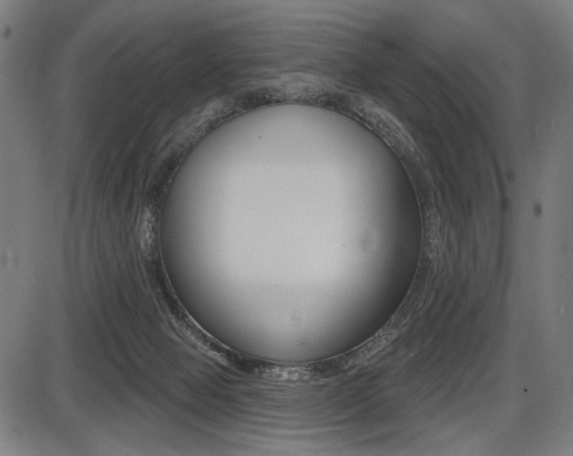 X0000087700077200705040902