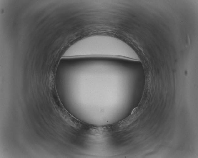 X0000087700079200705040902