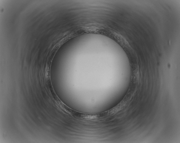 X0000087700081200705040902