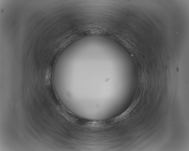 X0000087700082200705040902