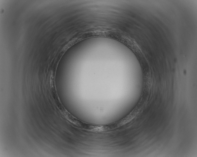 X0000087700083200705040902