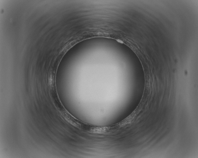 X0000087700084200705040902