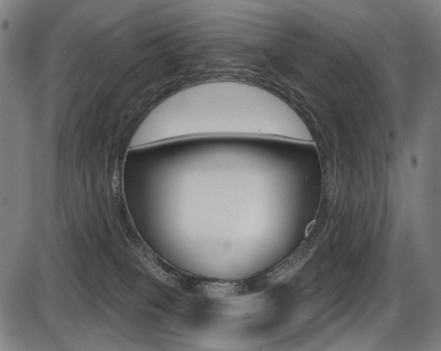 X0000087700085200705040902