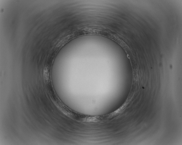 X0000087700086200705040902