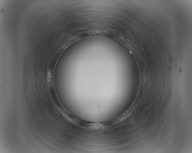 X0000087700087200705040902