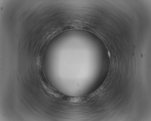 X0000087700088200705040902