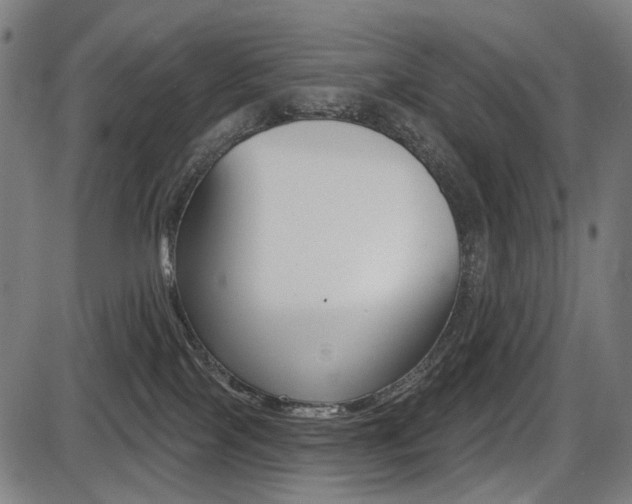 X0000087700089200705040902
