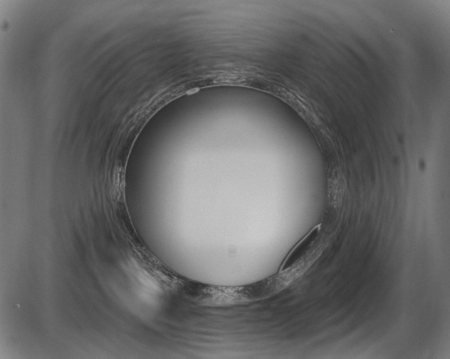 X0000087700093200705040902