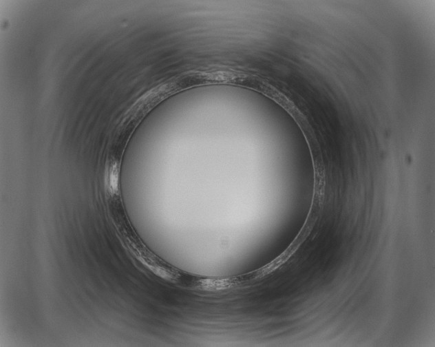 X0000087700095200705040902