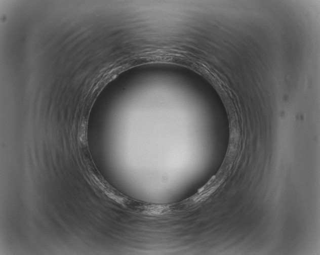 X0000087700096200705040902