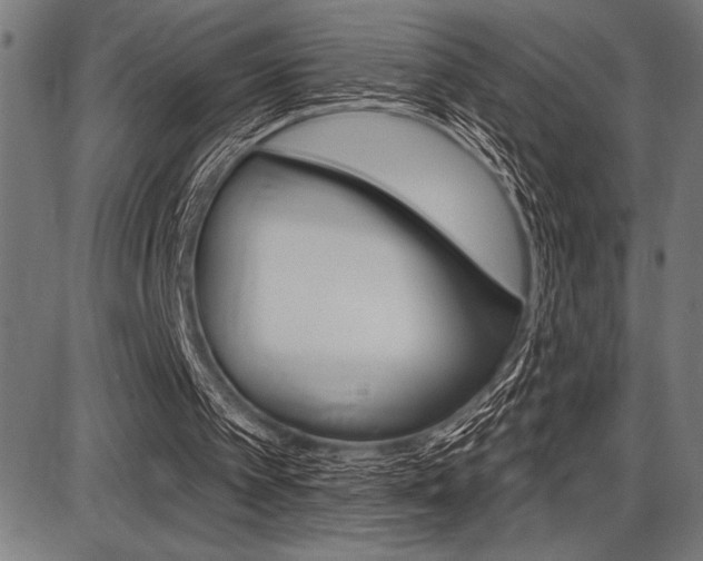X0000087700097200705040901