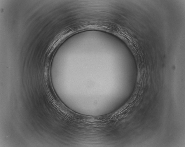X0000087700098200705040901