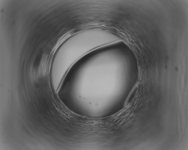 X0000087700099200705040901