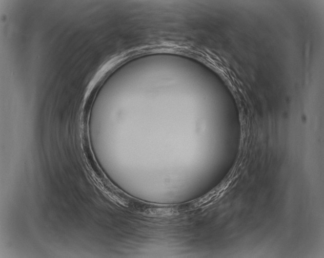 X0000087700102200705040901
