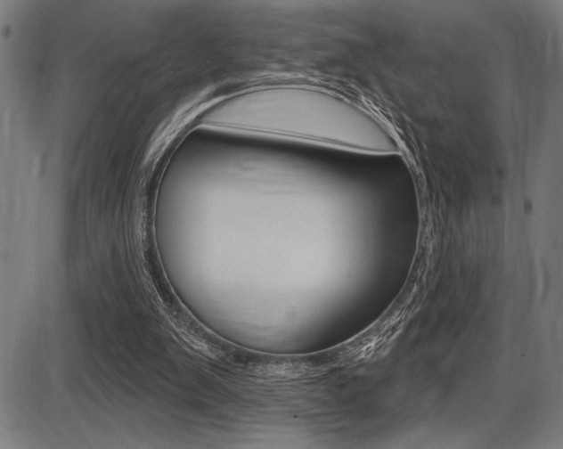 X0000087700103200705040901