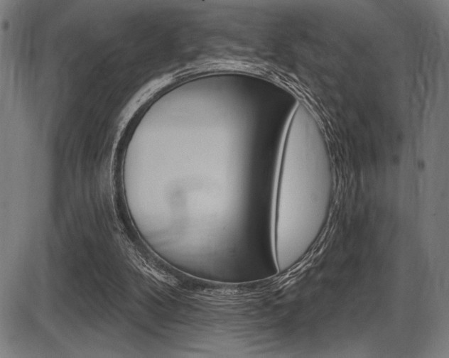 X0000087700104200705040901