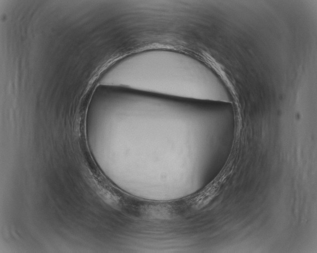 X0000087700106200705040901