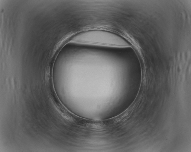 X0000087700107200705040901