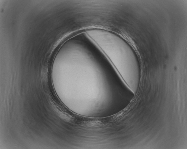 X0000087700108200705040901