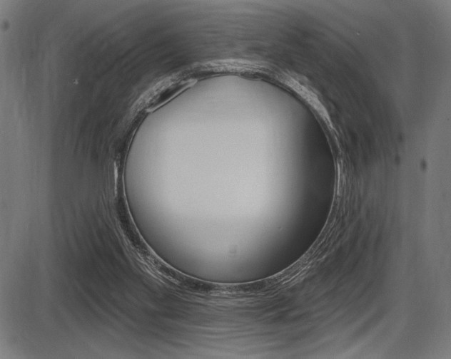 X0000087700109200705040901
