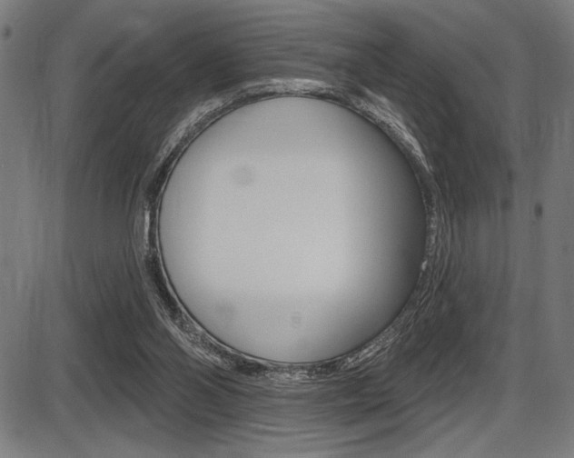 X0000087700110200705040901