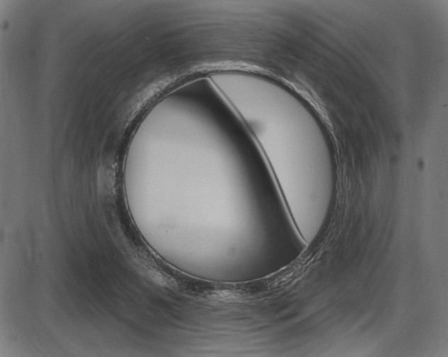 X0000087700111200705040901
