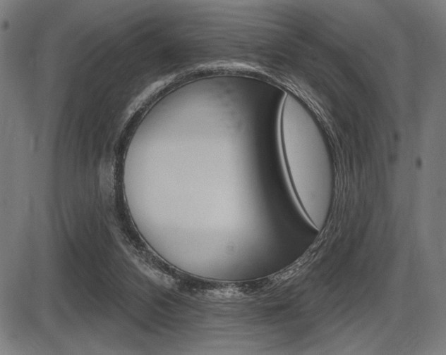 X0000087700112200705040901