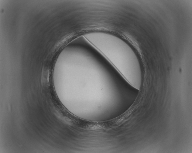 X0000087700115200705040901