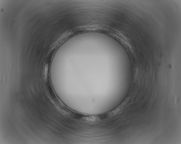 X0000087700118200705040901